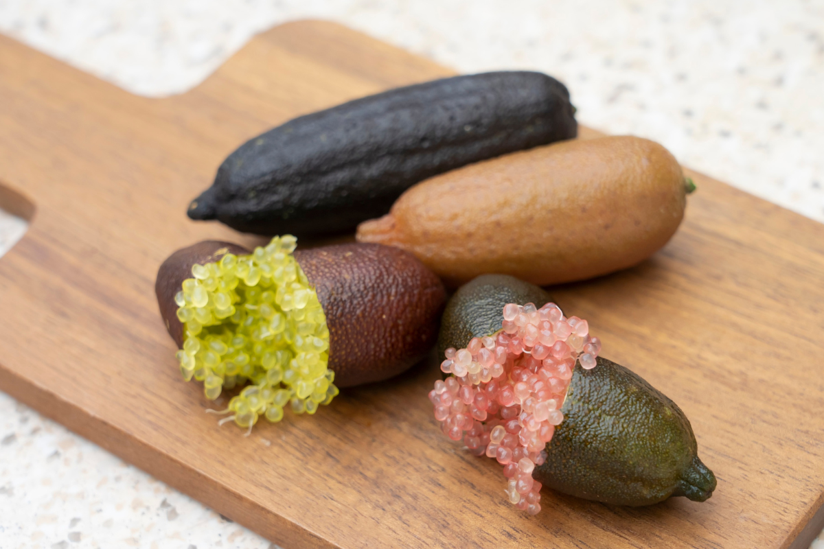 Finger Lime e Yuzu a confronto: differenze reali e gestione in vaso
