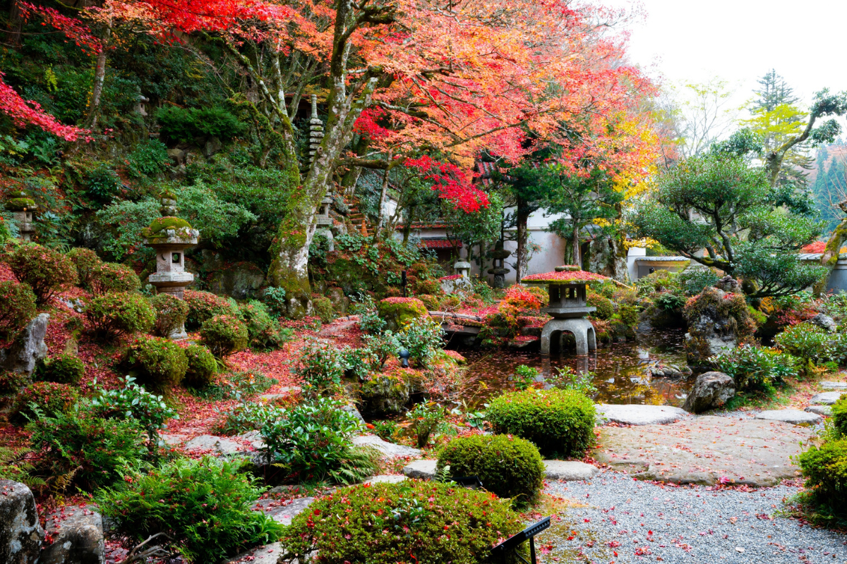 Giardino giapponese autunnale con foglie rosse e elementi in pietra.
