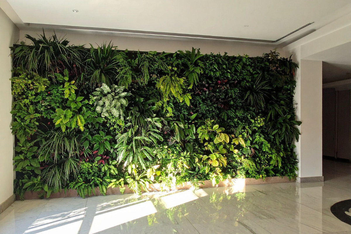 Giardino verticale da interno: quali piante scegliere e come mantenerlo vivo