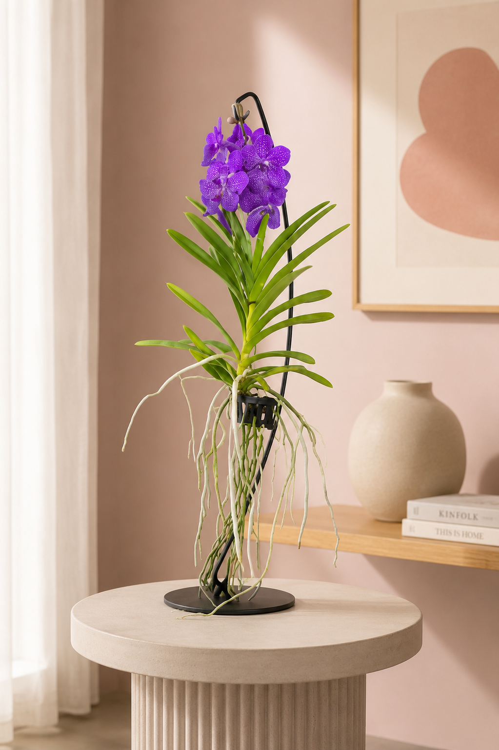 Orchidea Vanda fucsia decorativa