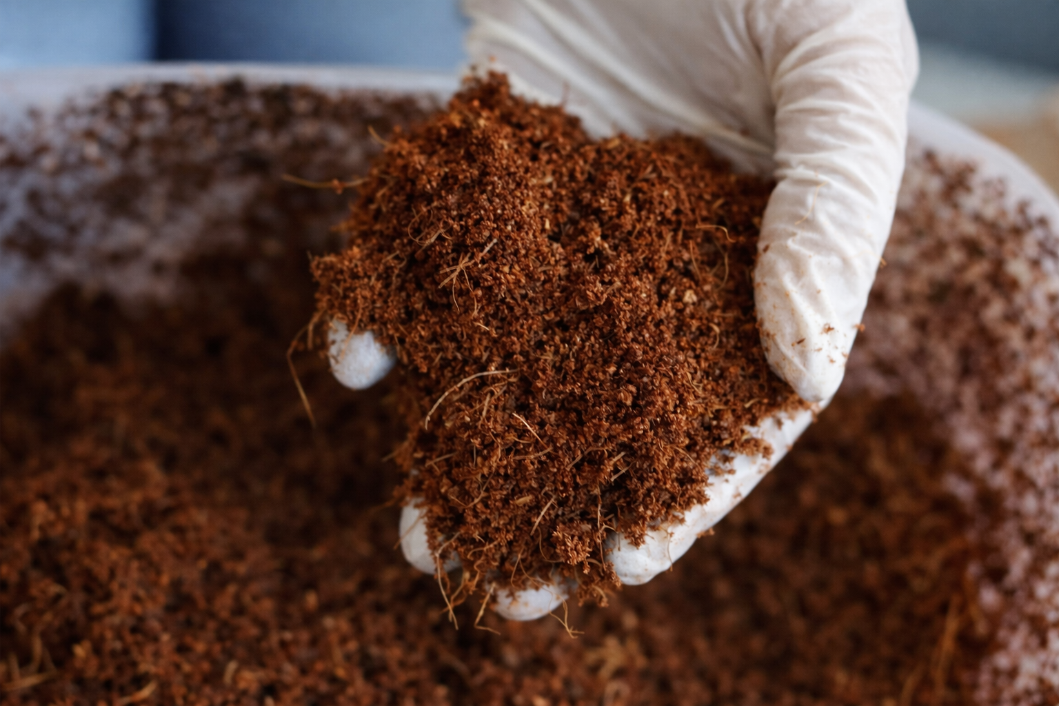 Mano con guanto bianco che tiene fibra di cocco marrone, con substrato soffice e fibroso in primo piano e sfondo sfocato.