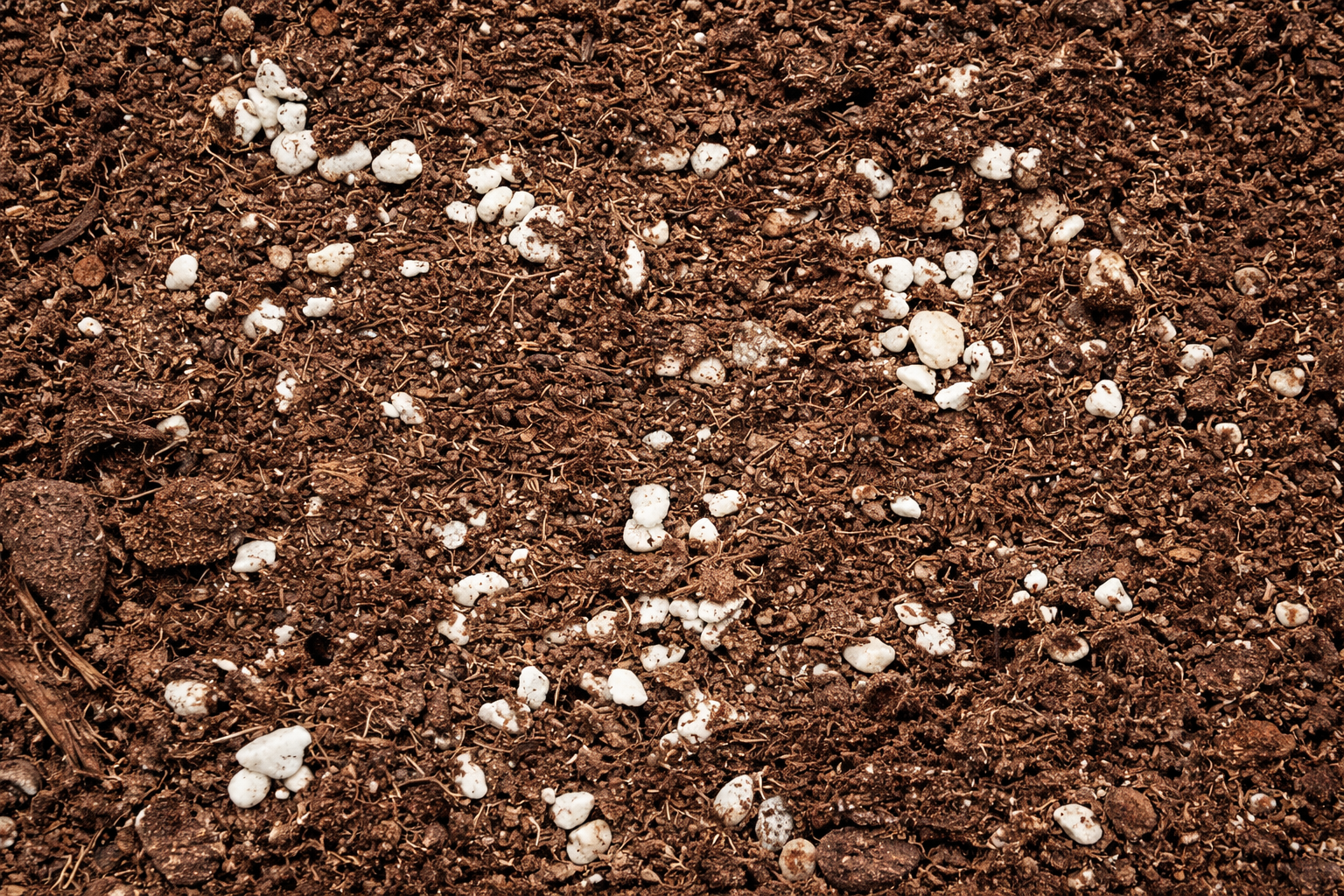 Terriccio universale ricco con perlite bianca, texture drenante e ariosa in primo piano.