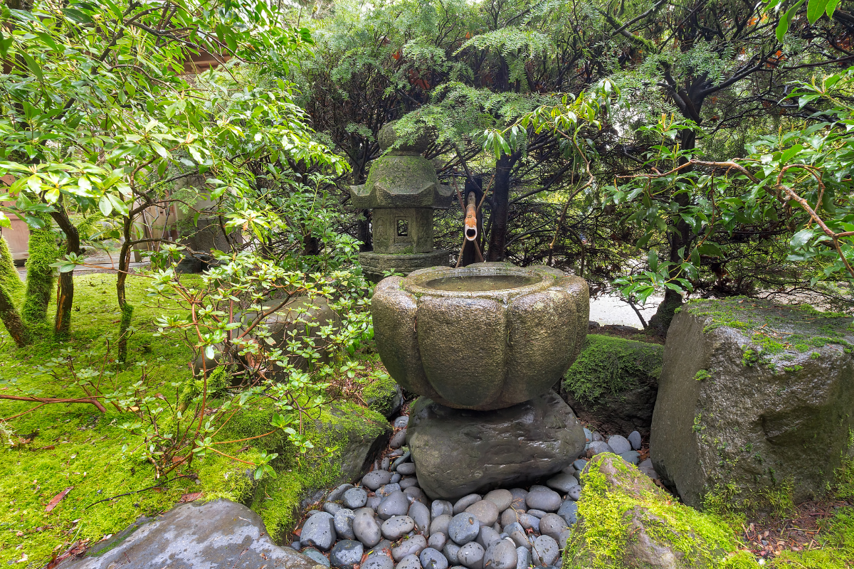 Fontana tsukubai in pietra con acqua in giardino giapponese.