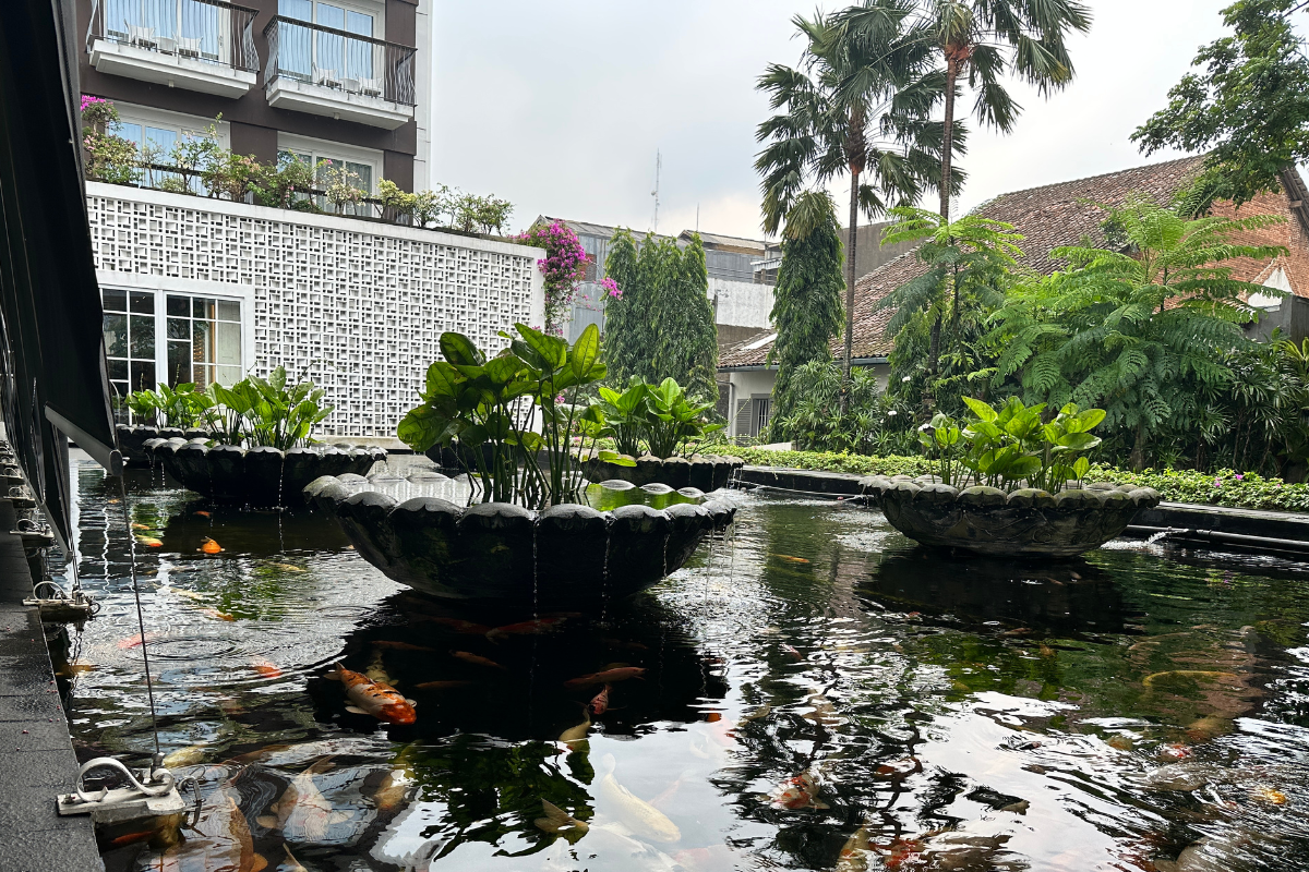 Giardino con laghetto koi e pesci ornamentali.