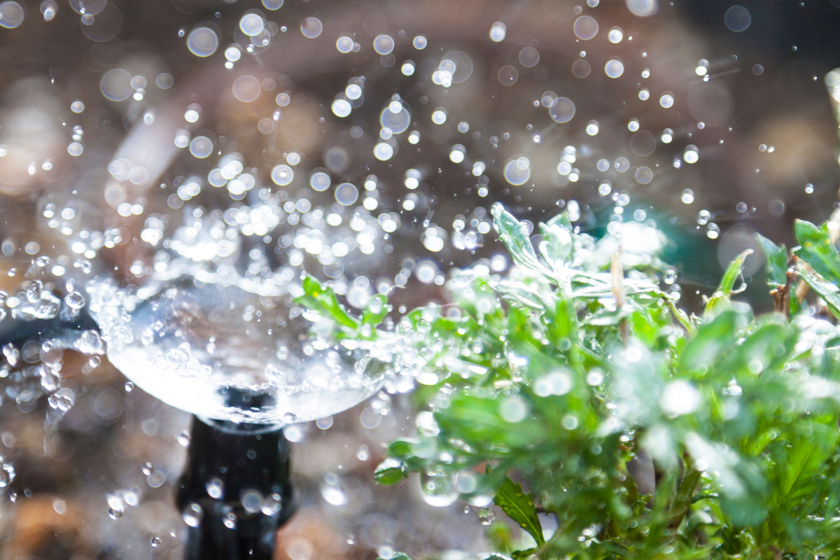 Sistema di irrigazione automatica con spruzzo d’acqua su piante.