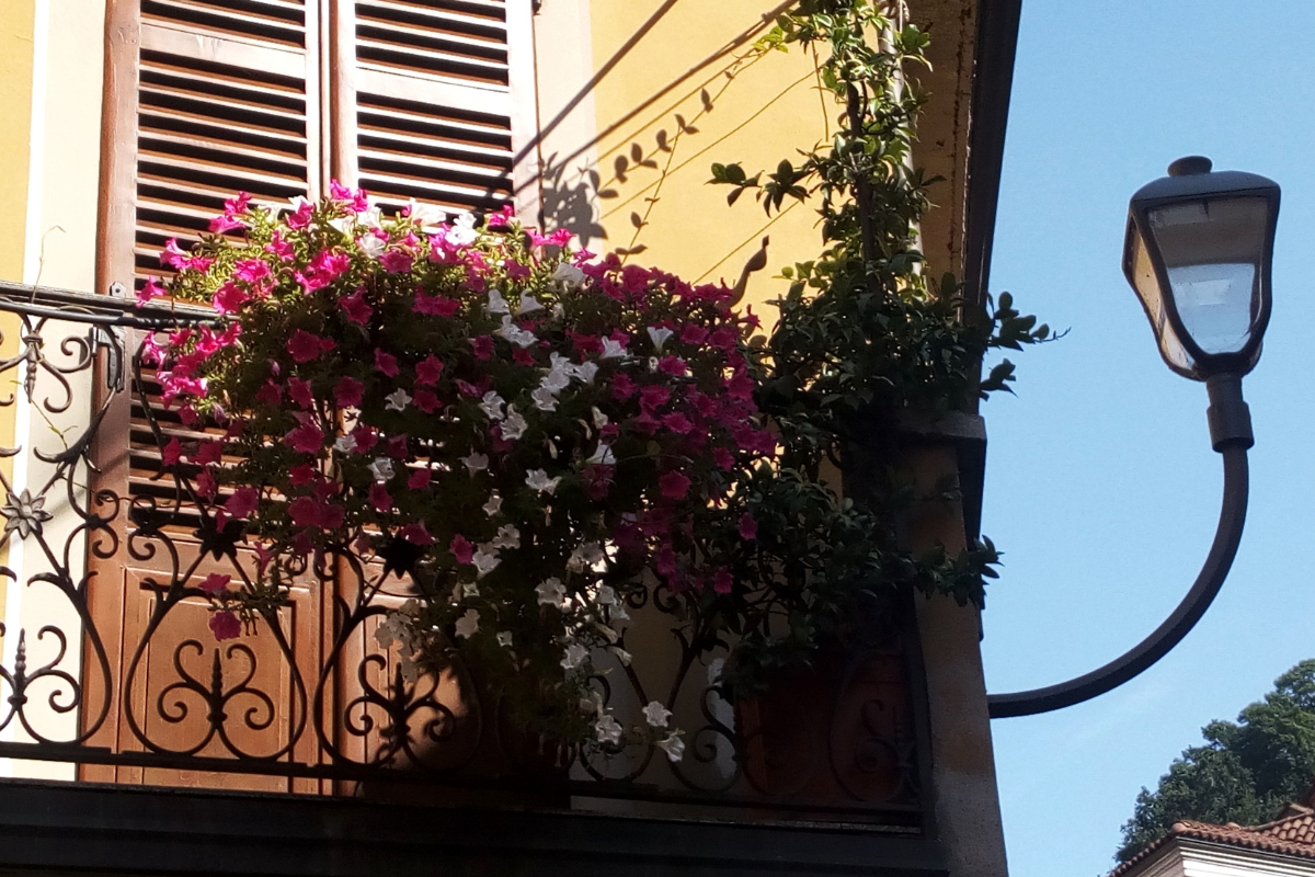 Balcone con fioriere di fiori rosa e bianchi in piena fioritura, su edificio con persiane e lampione.