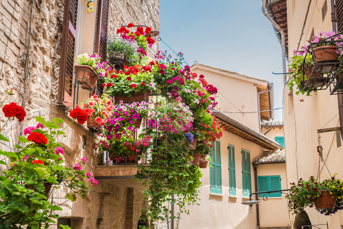 Balconi fioriti con gerani rossi e fiori colorati su facciate di case in borgo mediterraneo.