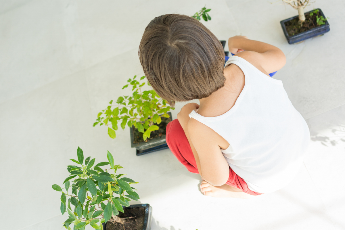 Piante per casa con bambini piccoli: piante robuste e sicure per ambienti domestici