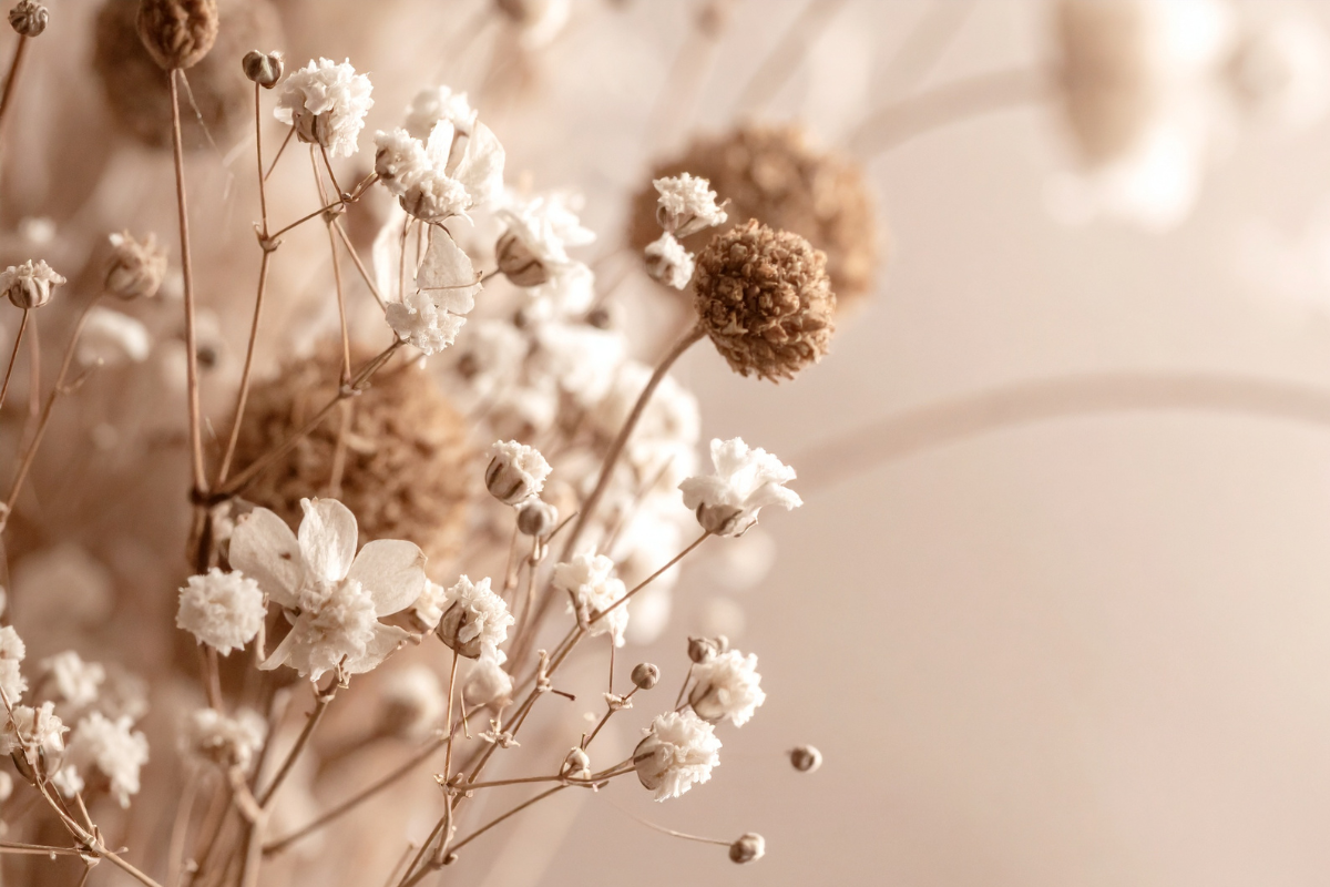 Composizioni con fiori secchi: come sceglierle e quando usarle, anche nel matrimonio