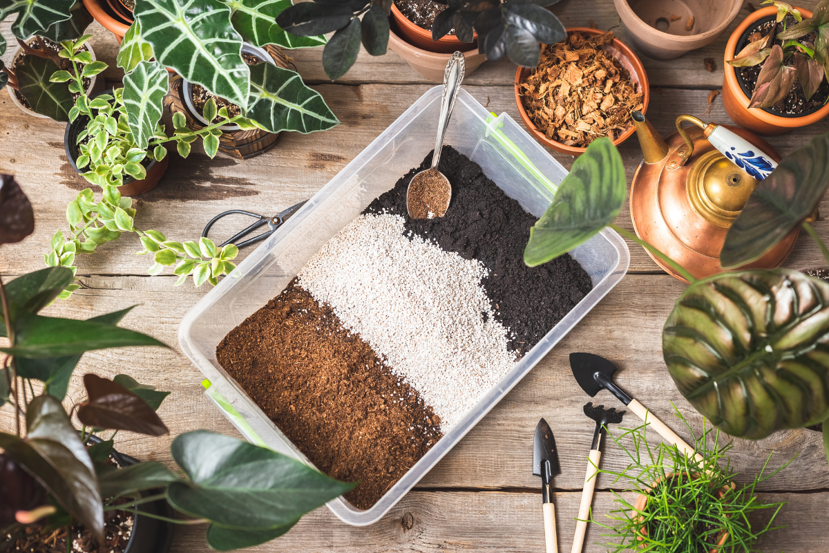 Preparazione di substrato con terriccio, perlite e fibra di cocco in contenitore, circondato da piante e attrezzi da giardinaggio.