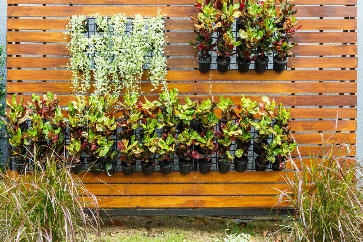Giardino verticale con piante ornamentali su parete in legno.