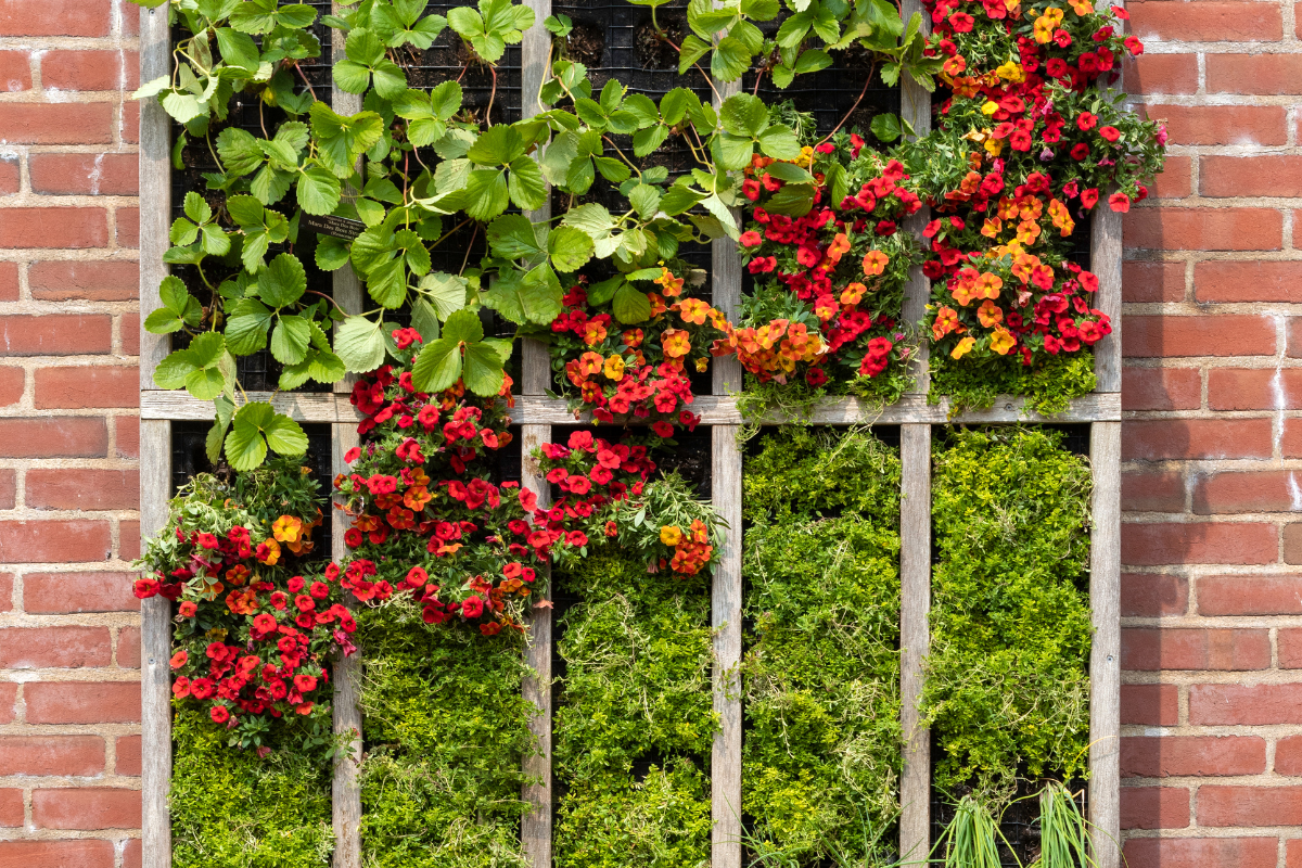 Giardino verticale con piante verdi e fiori rossi su parete in mattoni.