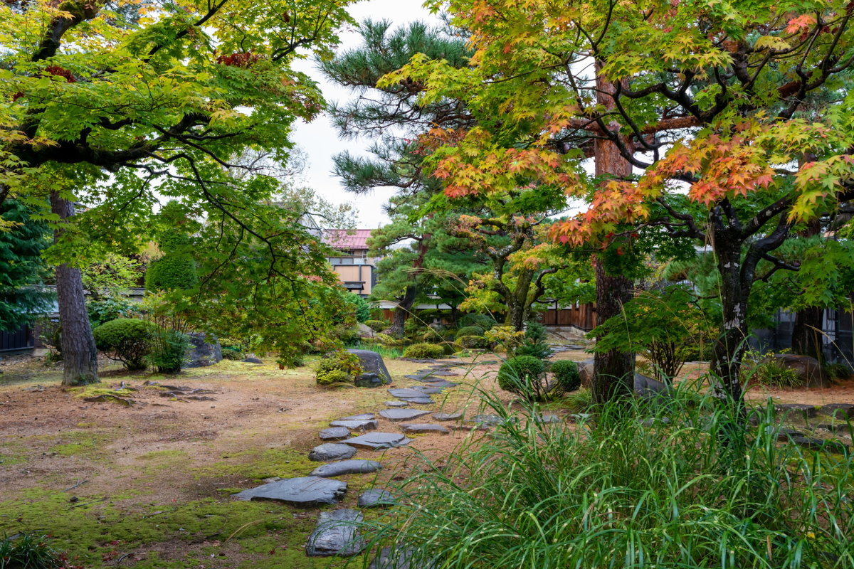 Giardino giapponese con vialetto in pietra tra alberi e piante.