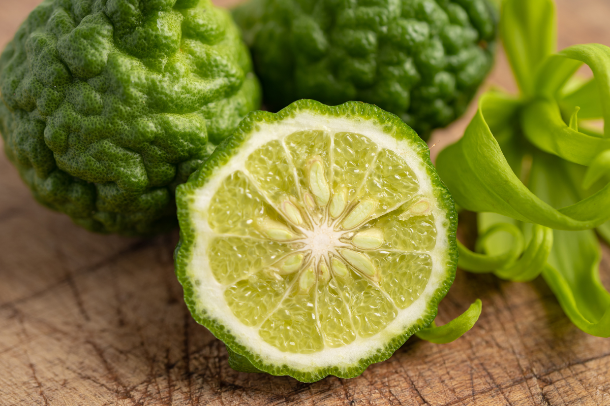Bergamotto e Chinotto: differenze vere tra agrumi e come scegliere per il balcone