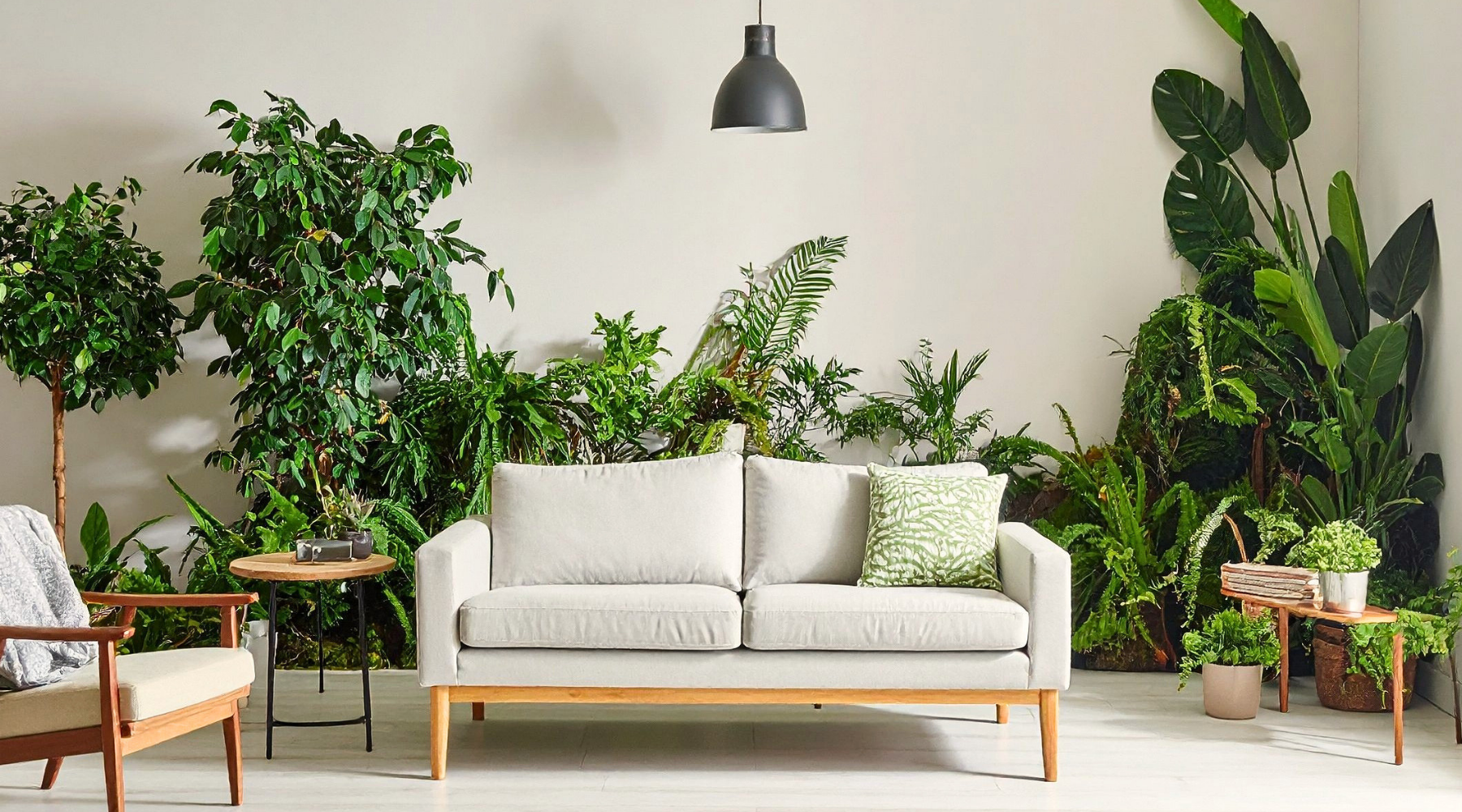 Piante per stile nordico e scandinavo