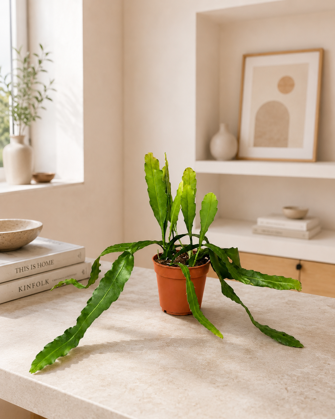 Epiphyllum fruhlingsgold decorativo su mobile in una casa luminosa dallo stile nordico