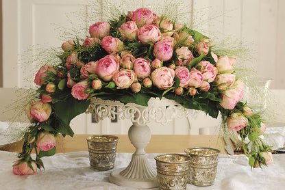 Rosa Lovely Rokoko con grandi fiori rosa tenue decorative