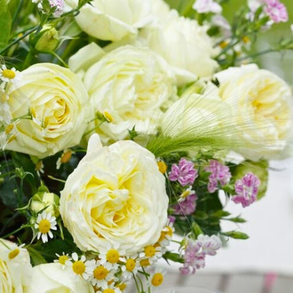 Rosa Wedding Piano con grandi fiori bianchi
