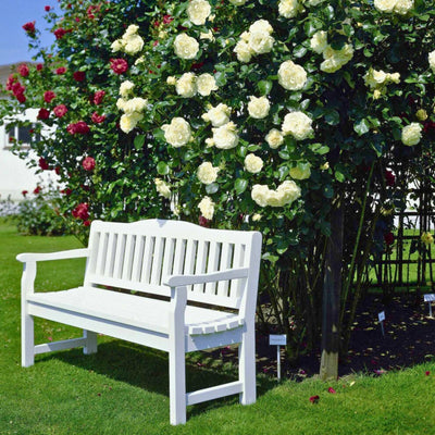 Rosa Schneewalzer con grandi fiori bianchi rampicanti